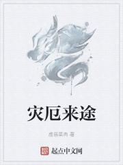 灾厄剧情
