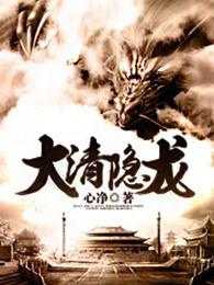 大清隐龙笔趣阁最新