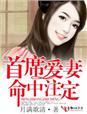 首席爱妻入骨