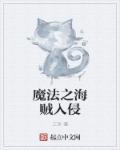 海贼之冰之魔法师 海贼之冰之魔法师