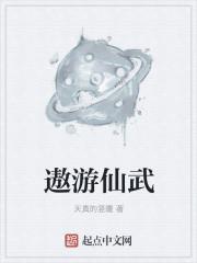 遨游仙境的意思