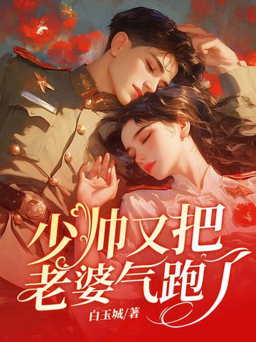 少帅又把老婆气跑了剧情 少帅又把老婆气跑了剧情