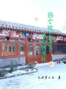 四合院重生之何玉柱 四合院重生之何玉柱