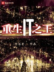 重生关于it的 重生关于it的