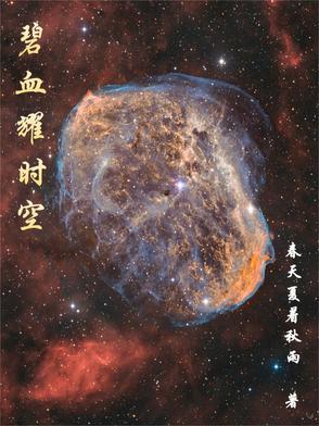 碧血长空穿越二战电影在线观看 碧血长空穿越二战电影在线观看