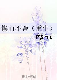 锲 而 不 舍
