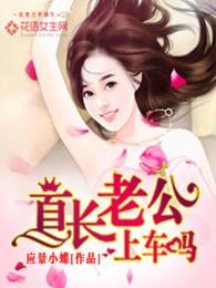 首长老公请上车免费阅读