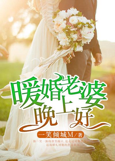 暖婚老婆晚上好全文