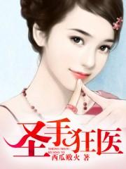 圣手狂医天线无痕