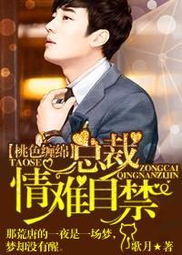 总裁情自襟 总裁情自襟