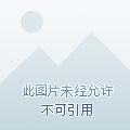带着星际闯美幻作者