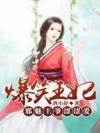 爆笑王妃:邪魅王爷涩涩爱 爆笑王妃:邪魅王爷涩涩爱