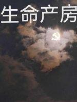 把手握紧什么都没有 把手张开拥有一切