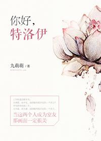 你好,特洛伊 你好,特洛伊