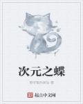 次元之蝶 次元之蝶