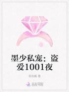 墨少私宠:盗爱1001夜 墨少私宠:盗爱1001夜