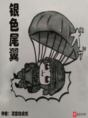 银色尾翼 银色尾翼